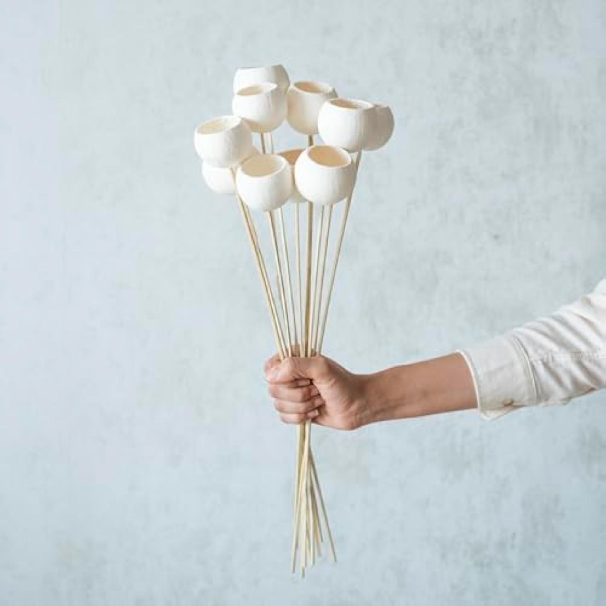White Bel Cup Sticks (Set of 10) | Natural Dried Flower